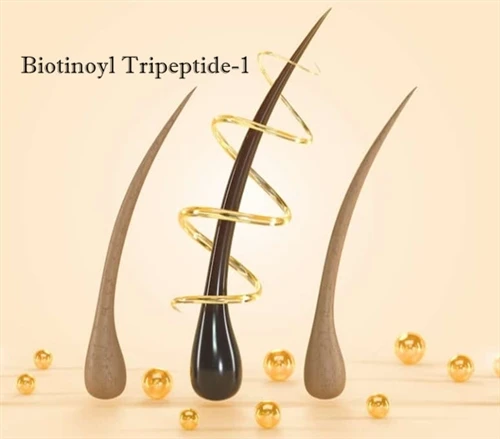 Biotinoyl Tripeptide-1 dan rambut