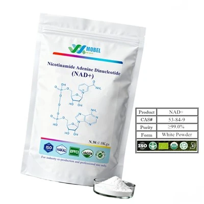 Nikotinamide Adenine Dinucleotide